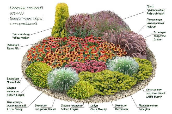 Размер палисадника, планировка и схема рассадки растений